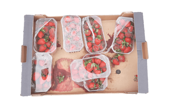 artefact01_erdbeerkisteSMALL